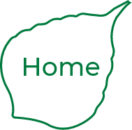 Bodhi Prana Logo